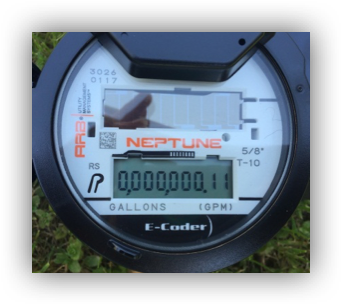 neptune digital water meter leak indicator